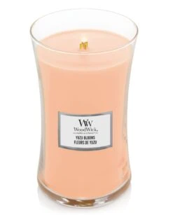 Voorkant -Keukenwinkel 222455222 1728616E topangle