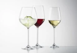 Schott Zwiesel Wijnglazen Fortissimo - Set 18 Delig - Witte En Rode Wijnglazen & Gin Tonic Glazen -Keukenwinkel 4001836085601 schott zwiesel fortissimo 1