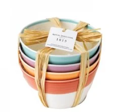 Royal Doulton Kommen 1815 Bright Colours ø 15 Cm - 4 Stuks -Keukenwinkel 9022 2