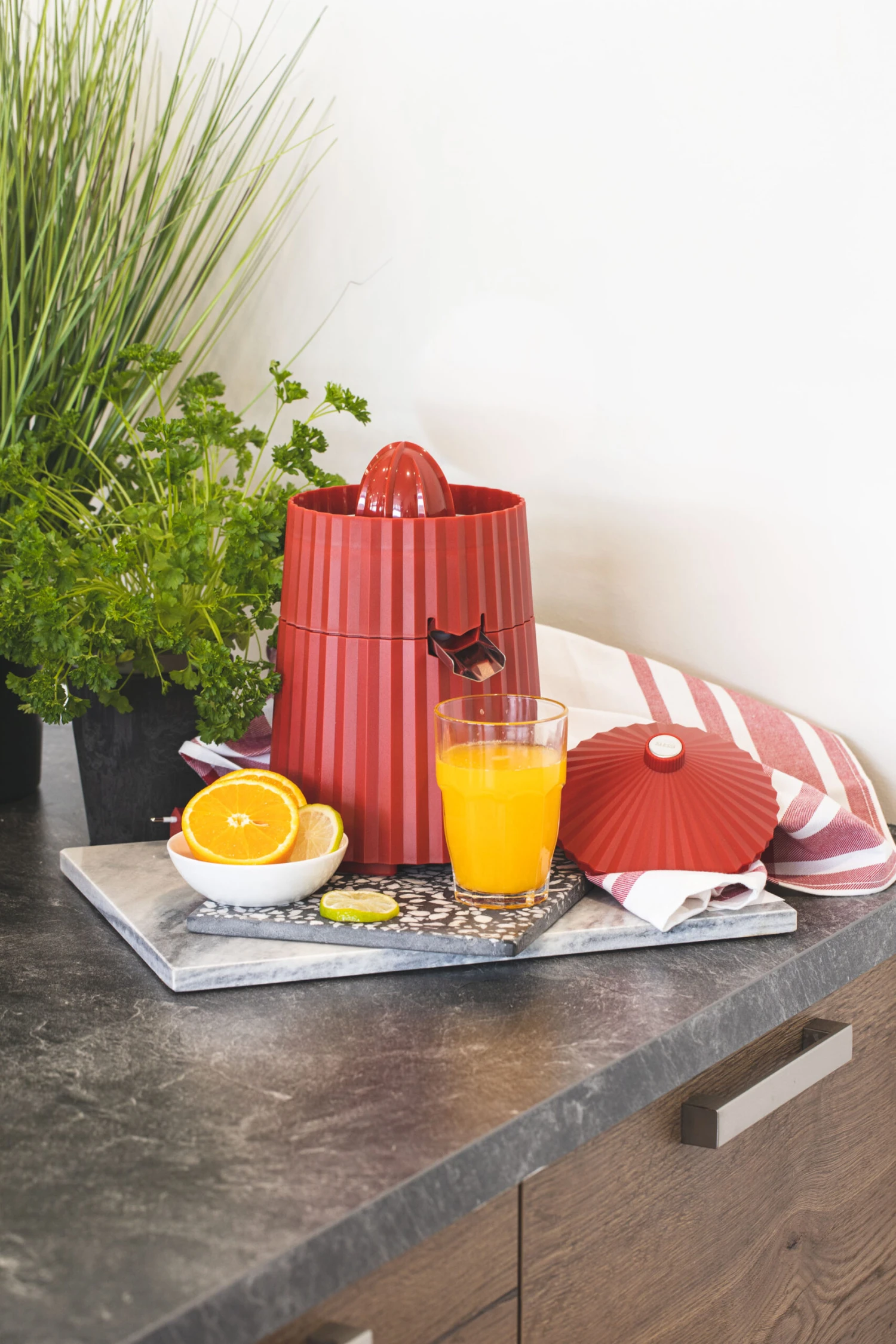 Alessi Citruspers Plissé - Elektrisch - Rood - Michele De Lucchi - MDL07 R 4 Alessi Citruspers Plissé - Elektrisch - Rood - Michele De Lucchi - MDL07 R - Afbeelding 2