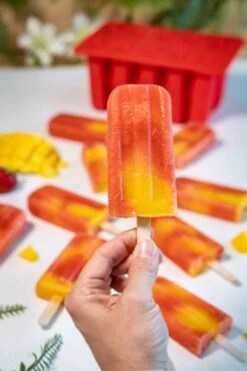 Sareva IJsjesmaker Voor 10 Ijsjes - Rood - Siliconen + 150 Houten IJsstokjes -Keukenwinkel sareva ijsjesmaker 2